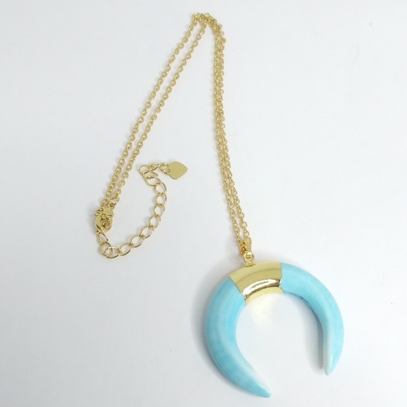 Jewelry - Howlite turquoise crescent horn